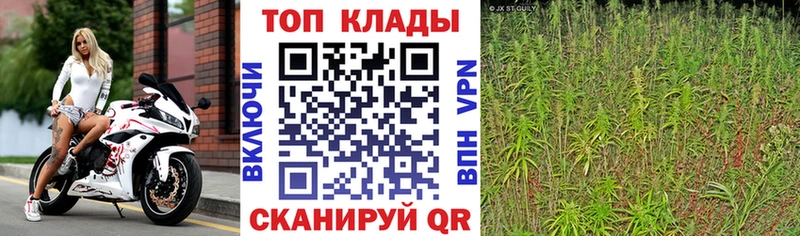  КОКАИН Кудрово