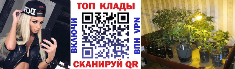 Где купить Кудрово Cocaine  APVP  Меф мяу мяу  omg рабочий сайт  МАРИХУАНА  ГАШ 