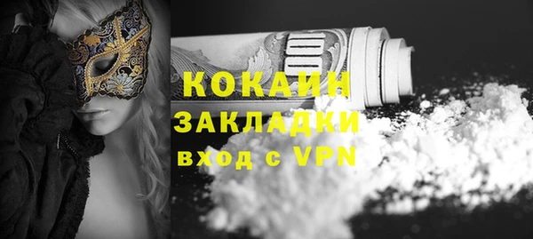 стафф Алексин