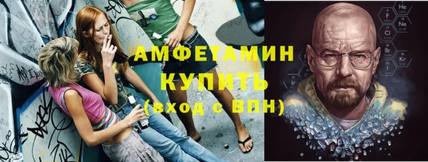 стафф Алексин